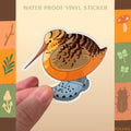Woodcock in crocs sticker vinyl